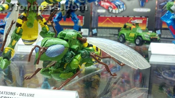 Transformers Sdcc 2013 Preview Night  (256 of 306)